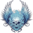 hawaken666